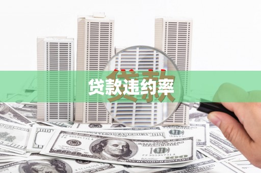 石冈贷款违约率
