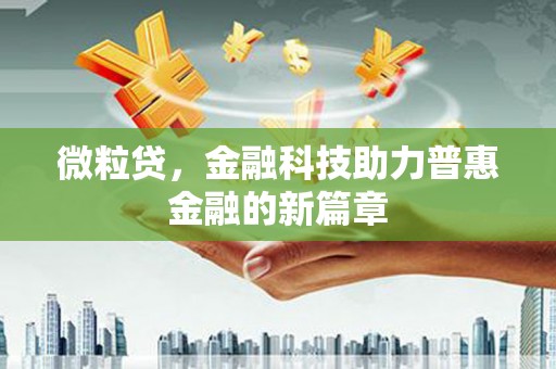 石冈微粒贷，金融科技助力普惠金融的新篇章