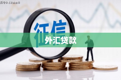 石冈外汇贷款
