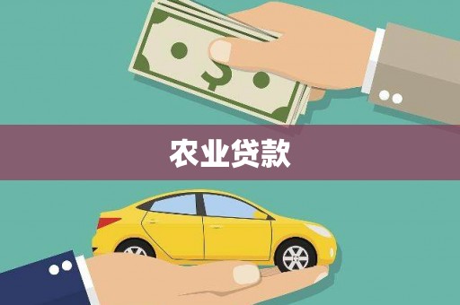 石冈农业贷款