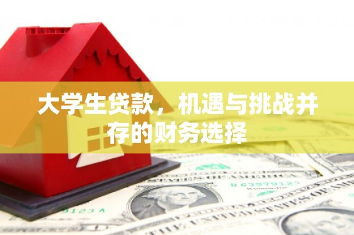 石冈大学生贷款，机遇与挑战并存的财务选择