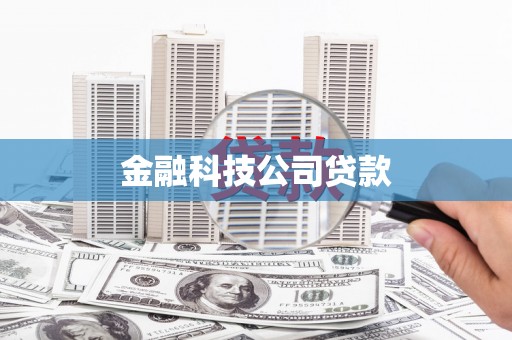 石冈金融科技公司贷款