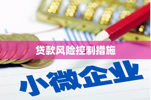 石冈贷款风险控制措施
