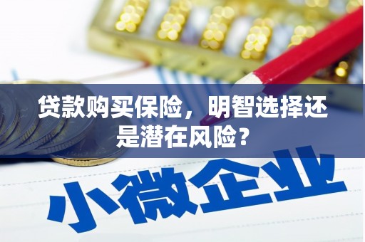 石冈贷款购买保险，明智选择还是潜在风险？