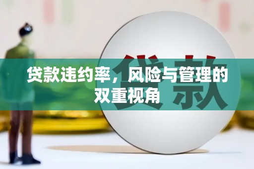 石冈贷款违约率，风险与管理的双重视角