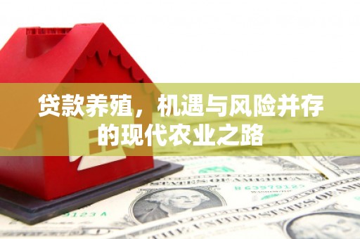 石冈贷款养殖，机遇与风险并存的现代农业之路