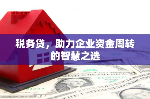石冈税务贷，助力企业资金周转的智慧之选
