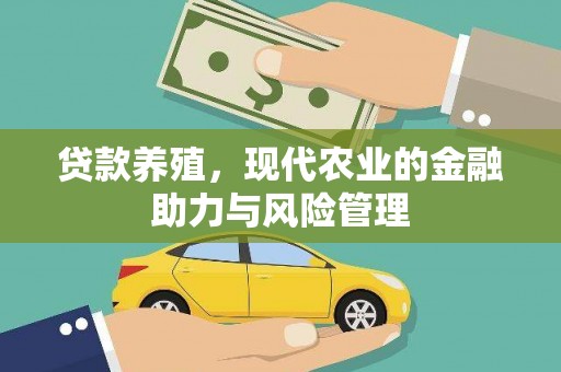 石冈贷款养殖，现代农业的金融助力与风险管理