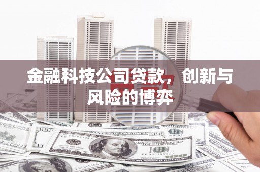石冈金融科技公司贷款，创新与风险的博弈