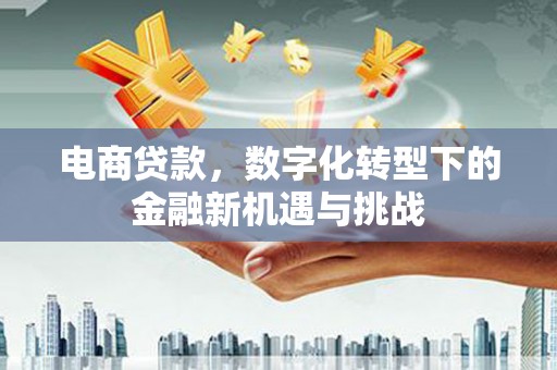 石冈电商贷款，数字化转型下的金融新机遇与挑战