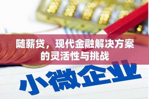 石冈随薪贷，现代金融解决方案的灵活性与挑战
