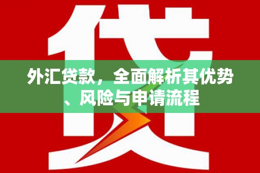 石冈外汇贷款，全面解析其优势、风险与申请流程