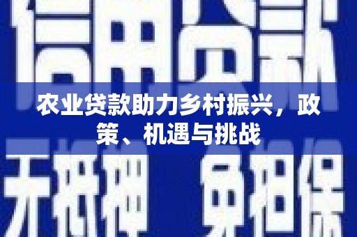 石冈农业贷款助力乡村振兴，政策、机遇与挑战