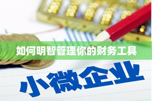 石冈如何明智管理你的财务工具