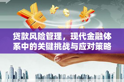 石冈贷款风险管理，现代金融体系中的关键挑战与应对策略
