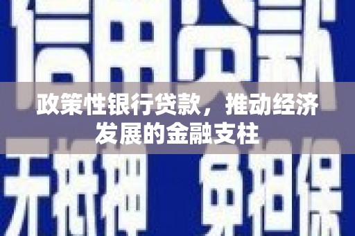 石冈政策性银行贷款，推动经济发展的金融支柱