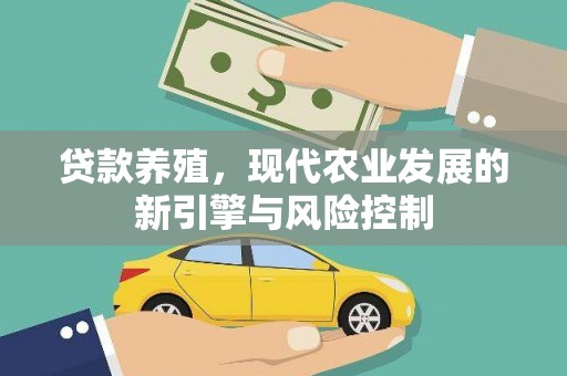 石冈贷款养殖，现代农业发展的新引擎与风险控制