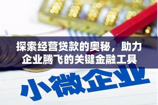 石冈探索经营贷款的奥秘，助力企业腾飞的关键金融工具