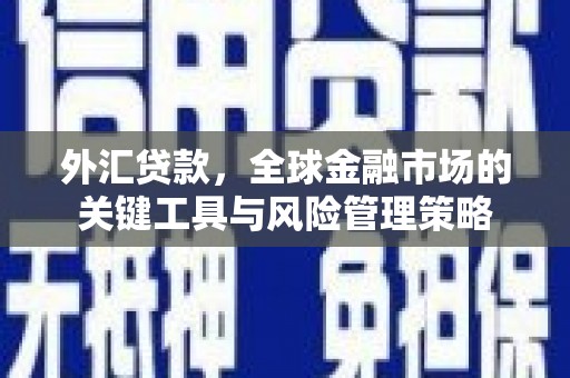 石冈外汇贷款，全球金融市场的关键工具与风险管理策略
