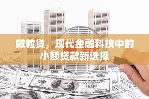 石冈微粒贷，现代金融科技中的小额贷款新选择