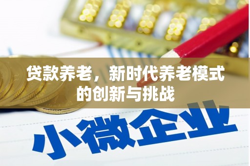 石冈贷款养老，新时代养老模式的创新与挑战