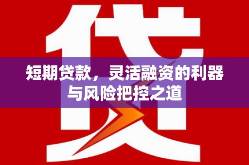 石冈短期贷款，灵活融资的利器与风险把控之道