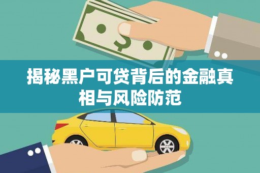 石冈揭秘黑户可贷背后的金融真相与风险防范