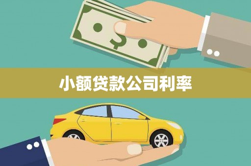 石冈小额贷款公司利率