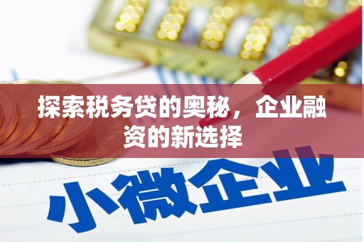 石冈探索税务贷的奥秘，企业融资的新选择