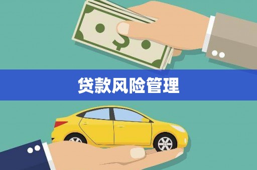 石冈贷款风险管理