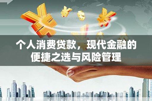 石冈个人消费贷款，现代金融的便捷之选与风险管理