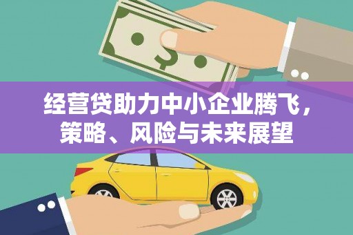 石冈经营贷助力中小企业腾飞，策略、风险与未来展望