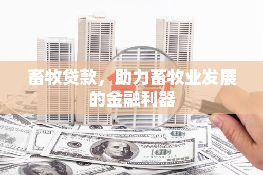 石冈畜牧贷款，助力畜牧业发展的金融利器