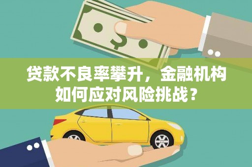 石冈贷款不良率攀升，金融机构如何应对风险挑战？