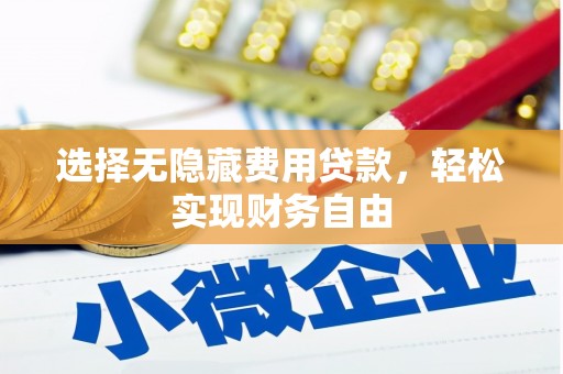 石冈选择无隐藏费用贷款，轻松实现财务自由