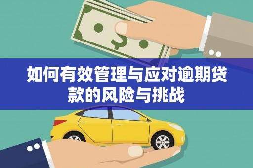 石冈如何有效管理与应对逾期贷款的风险与挑战