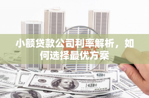 石冈小额贷款公司利率解析，如何选择最优方案