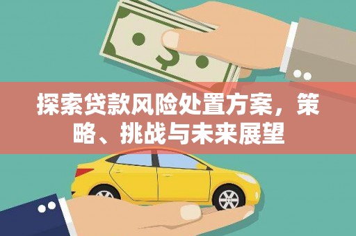 石冈探索贷款风险处置方案，策略、挑战与未来展望
