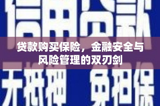 石冈贷款购买保险，金融安全与风险管理的双刃剑