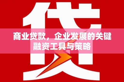 石冈商业贷款，企业发展的关键融资工具与策略