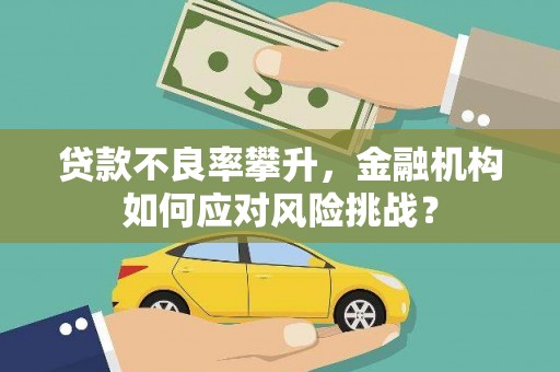 石冈贷款不良率攀升，金融机构如何应对风险挑战？