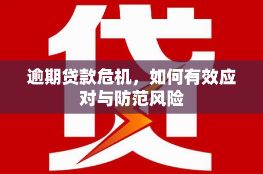 石冈逾期贷款危机，如何有效应对与防范风险