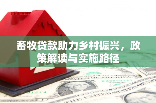 石冈畜牧贷款助力乡村振兴，政策解读与实施路径