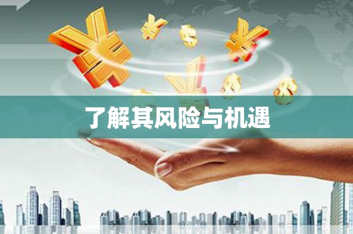 石冈了解其风险与机遇