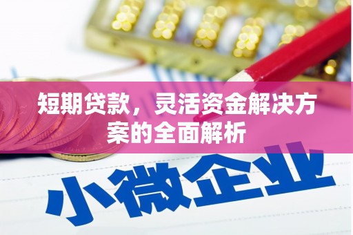 石冈短期贷款，灵活资金解决方案的全面解析