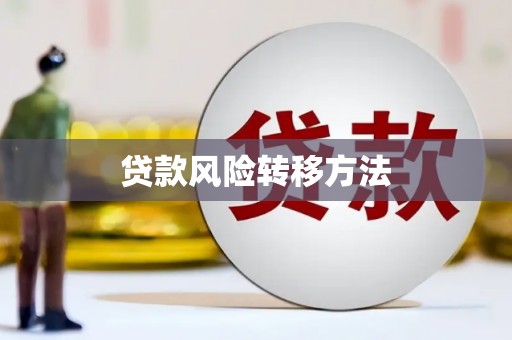 石冈贷款风险转移方法 石冈贷款风险转移方法