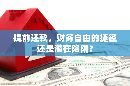 石冈提前还款，财务自由的捷径还是潜在陷阱？