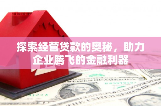 石冈探索经营贷款的奥秘，助力企业腾飞的金融利器