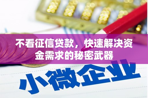 石冈不看征信贷款，快速解决资金需求的秘密武器