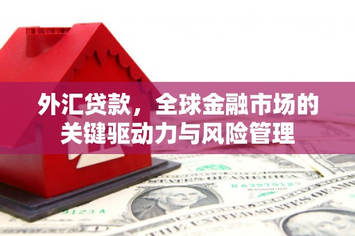 石冈外汇贷款，全球金融市场的关键驱动力与风险管理